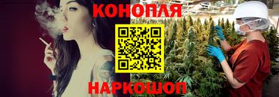 спиды Можга