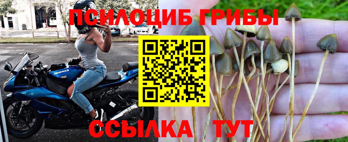 Галлюциногенные грибы Psilocybe  Вход с VPN  Хабаровск 